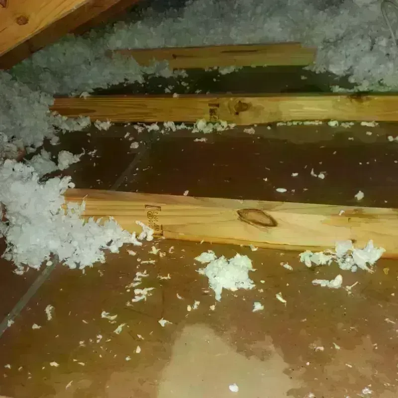 Attic Water Damage in Madison County, FL