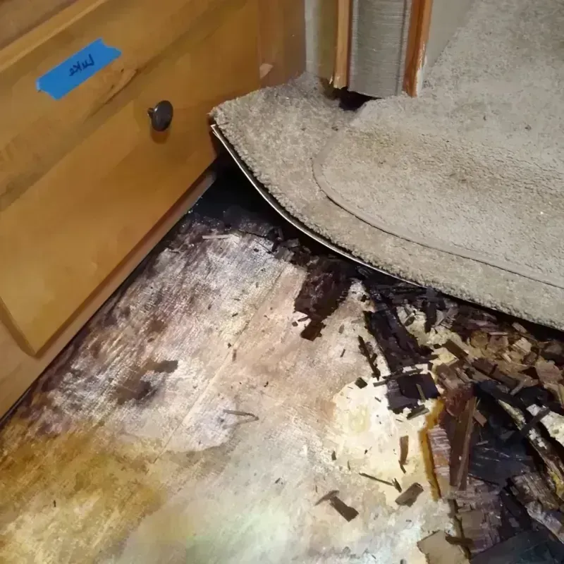 Best Wood Floor Water Damage Service in Madison County, FL